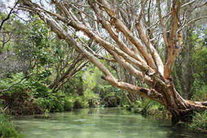 Fraser Island