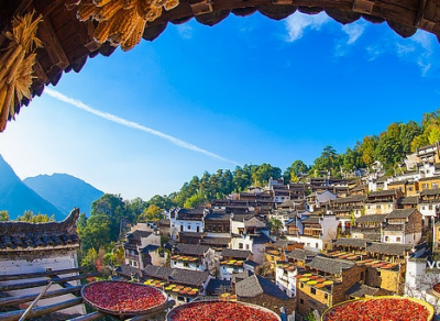 2025 深坑洲際，黃山婺源篁岭9日