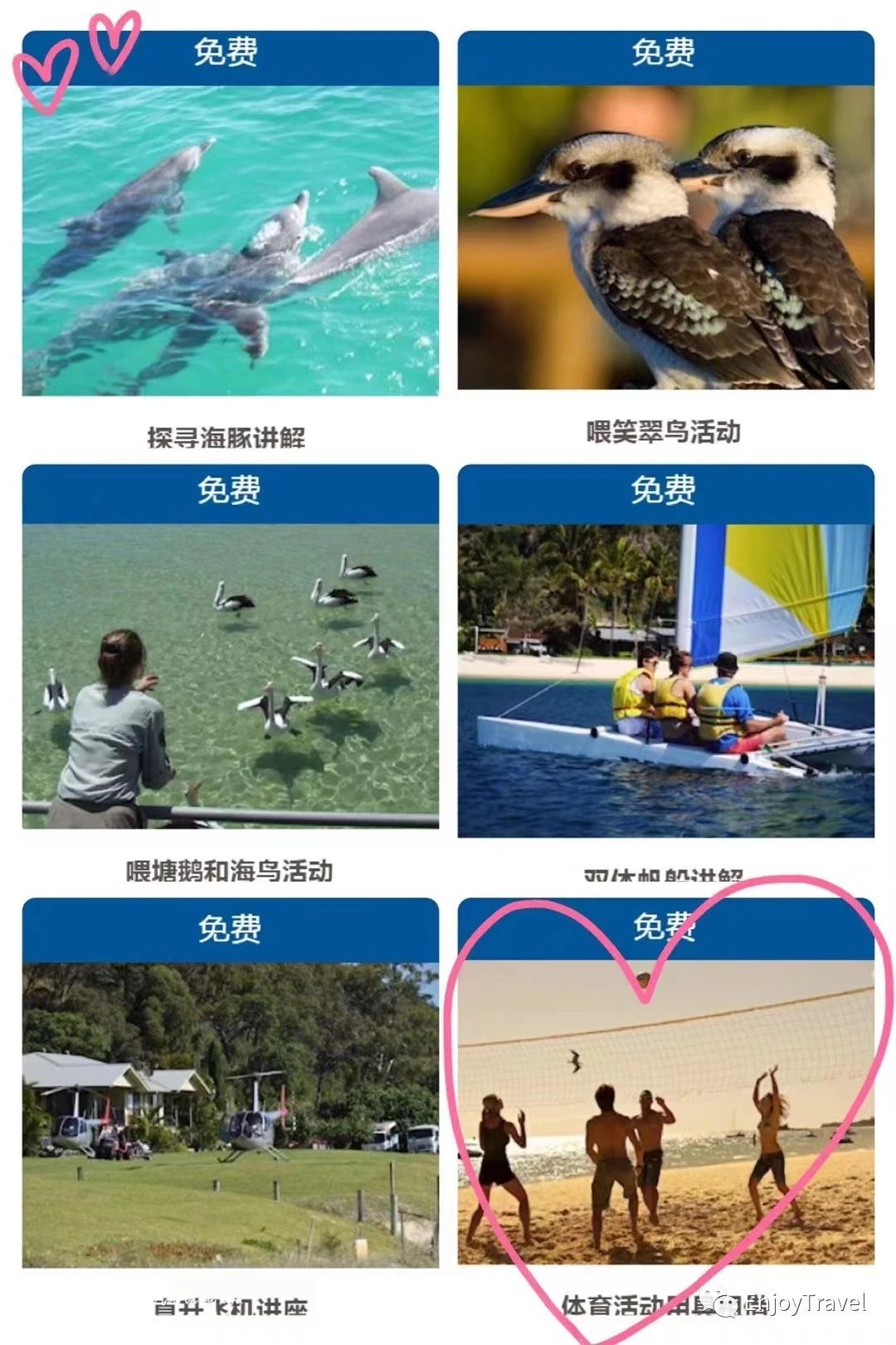 上传的图片