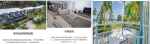 海豚岛12.png